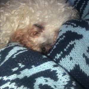 Meet your Posher, Mian